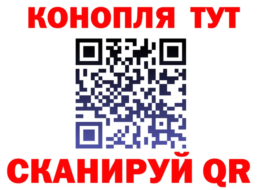 ГАШ Изолятор вход дарк нет MEGA Гатчина