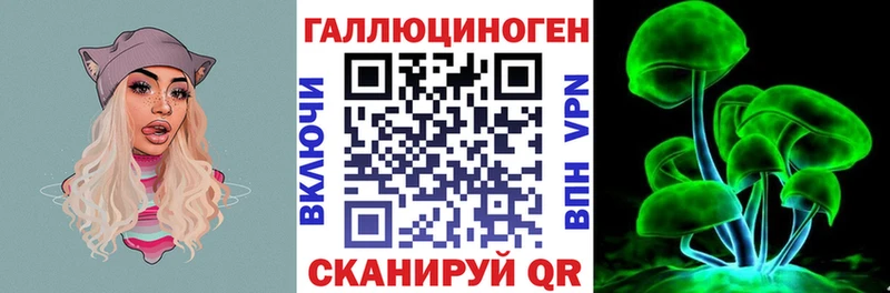 Купить  Гатчина  Псилоцибиновые грибы прущие грибы 